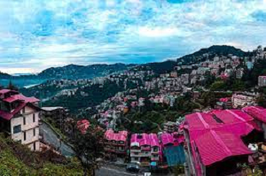Shimla