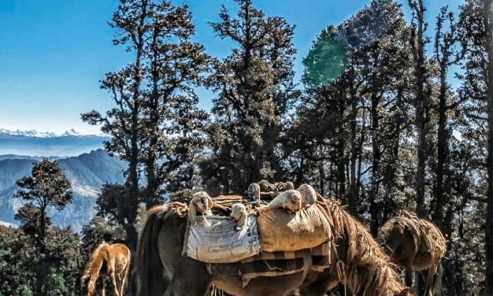 Shimla 5N 6D