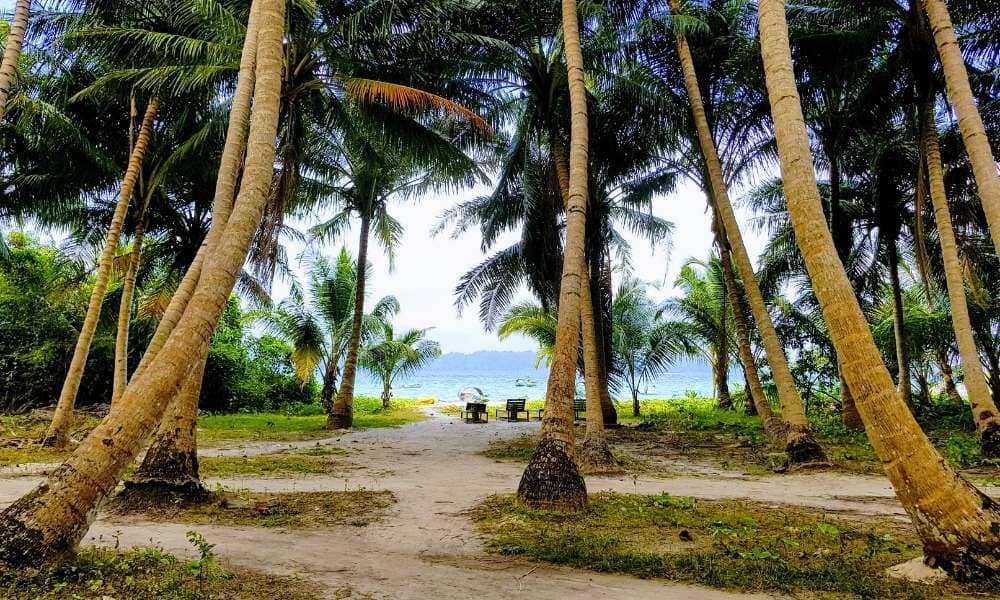 Andaman 7N 8D