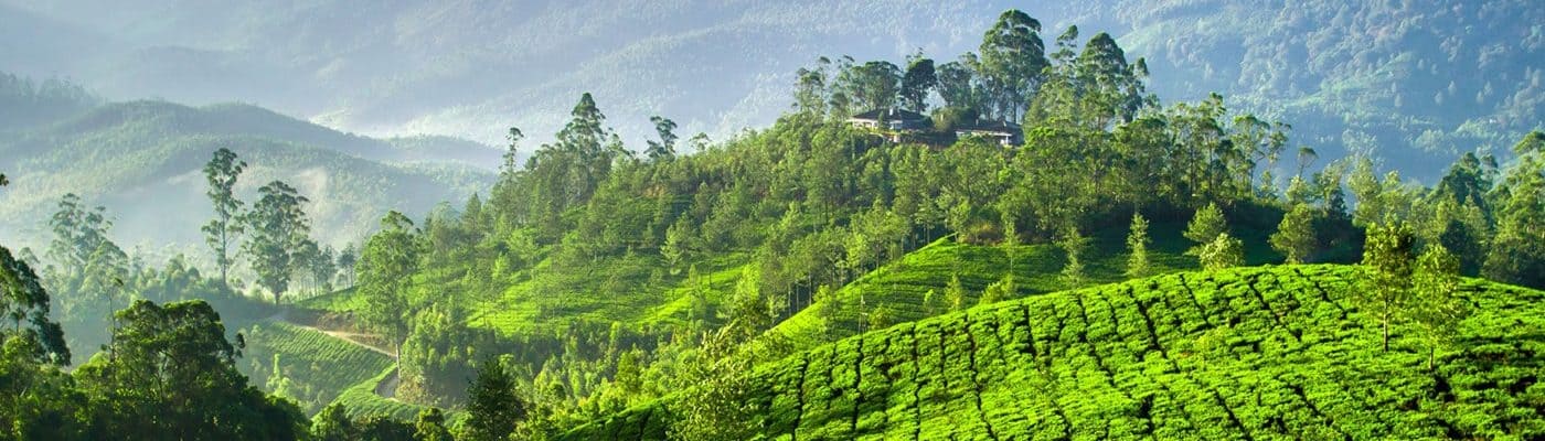 Kerala 5N 6D